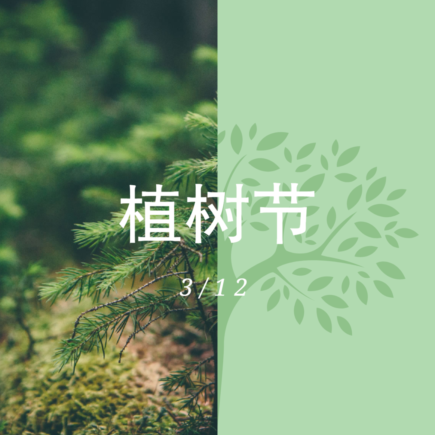 碳减排，2026年世界杯官方网站在行动